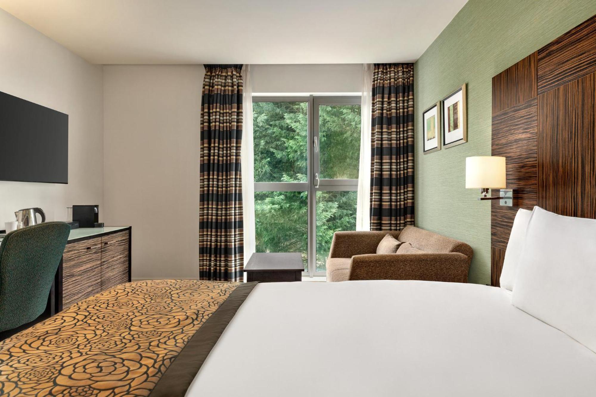 Premium Queen Room sofa bed