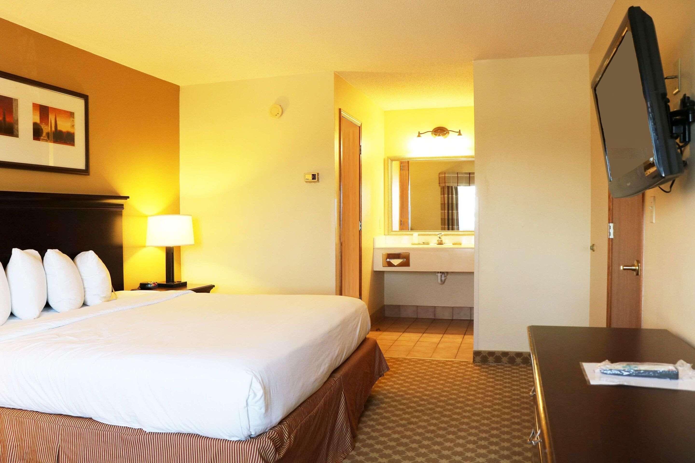 One-Bedroom King Suite with Sofa Bed - Disability Access