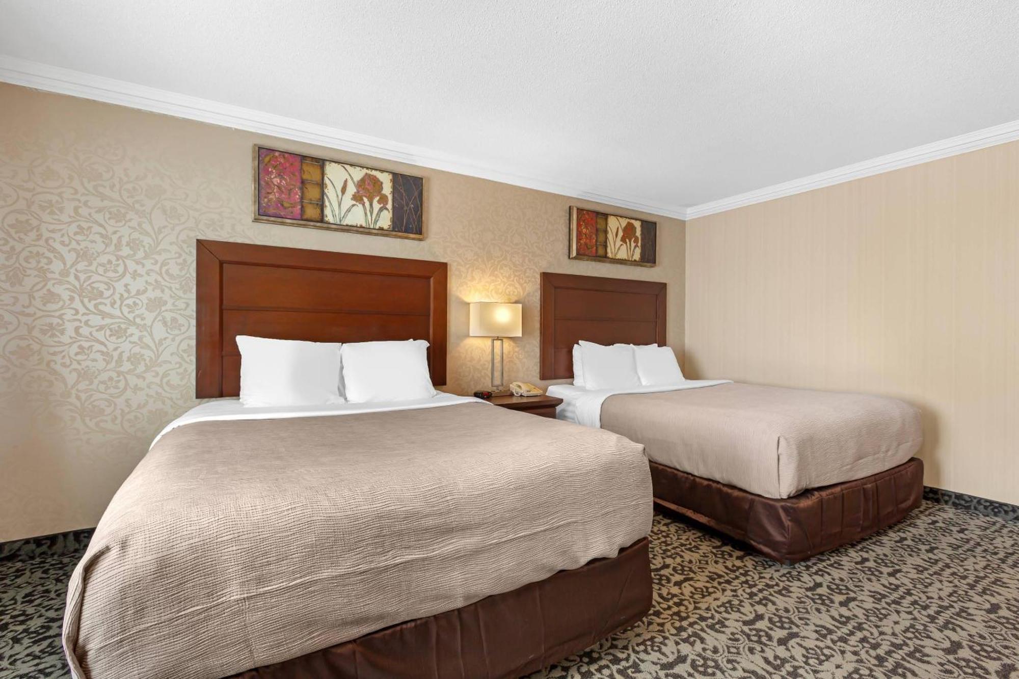 Queen Room Two Queen Beds Non-Smoking