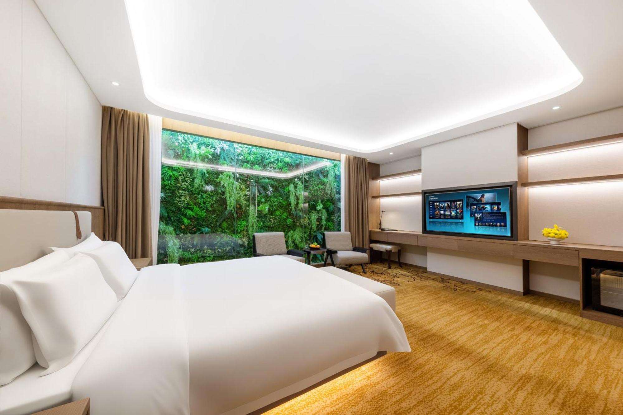 Private Dobule Room without window