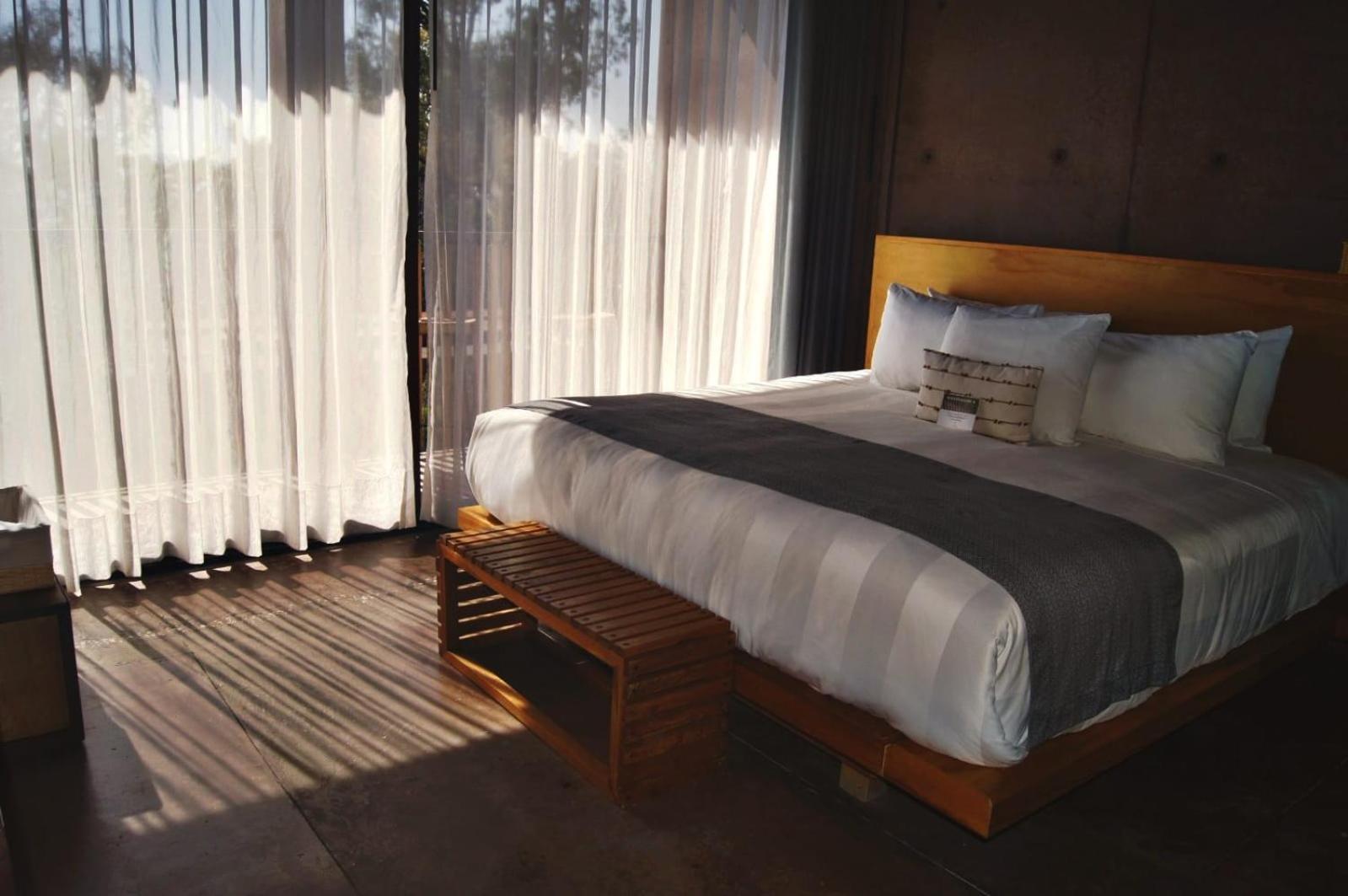 Junior Suite Terrace,1743348751:JPEG