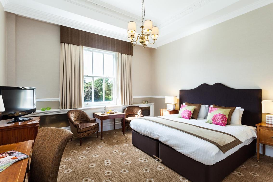 Executive Double or Twin Room,1769479673:JPEG