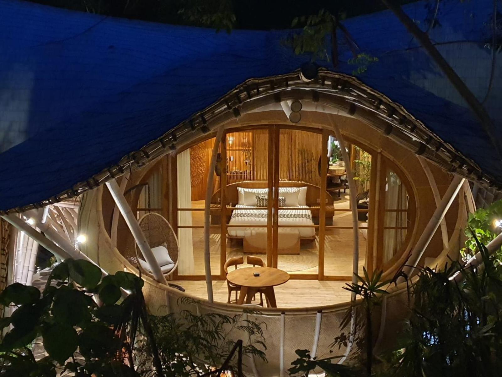 Cocoon Jungle,1771250268:JPEG