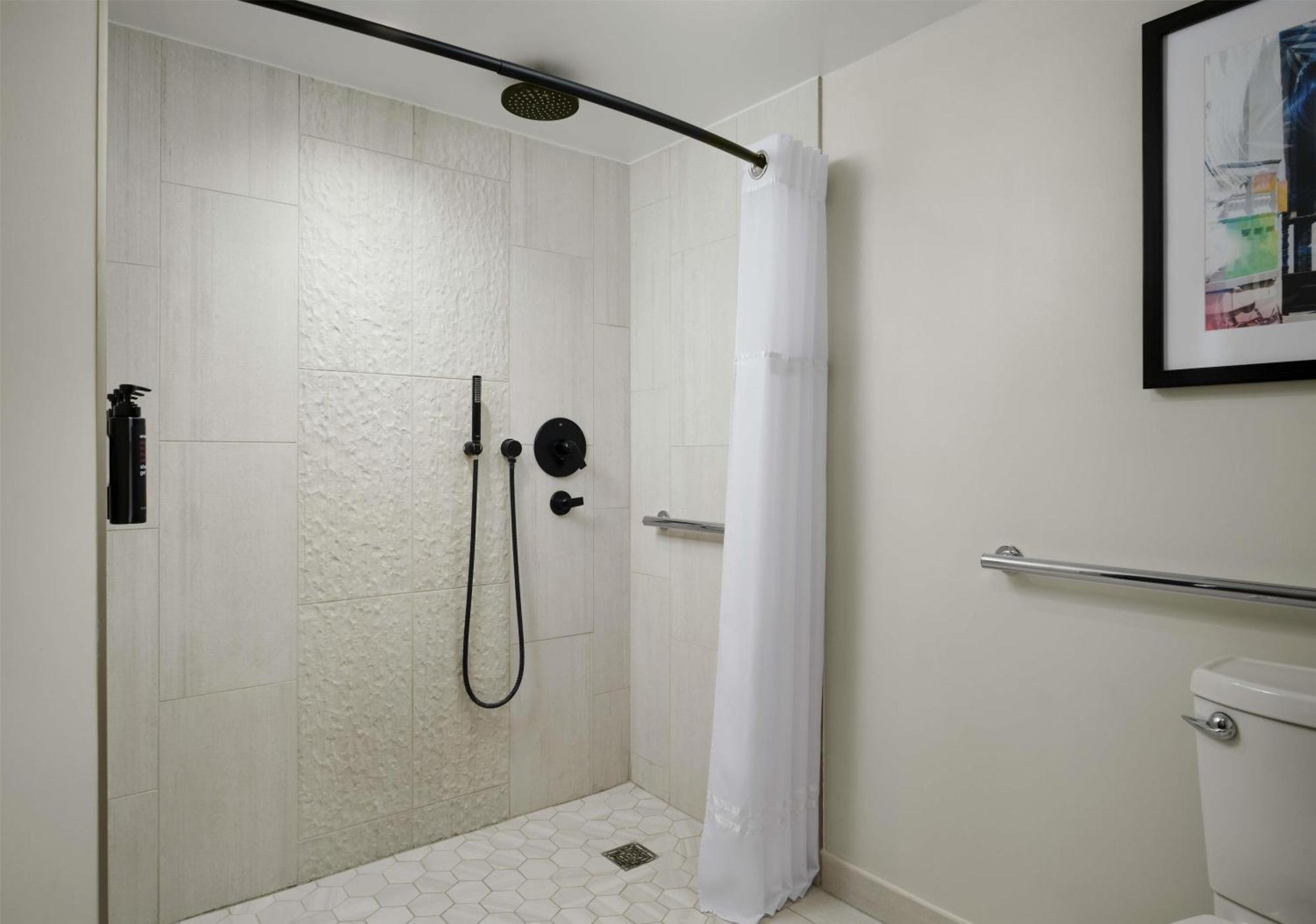 Deluxe King Room City View Roll Shower Mobility Accessible