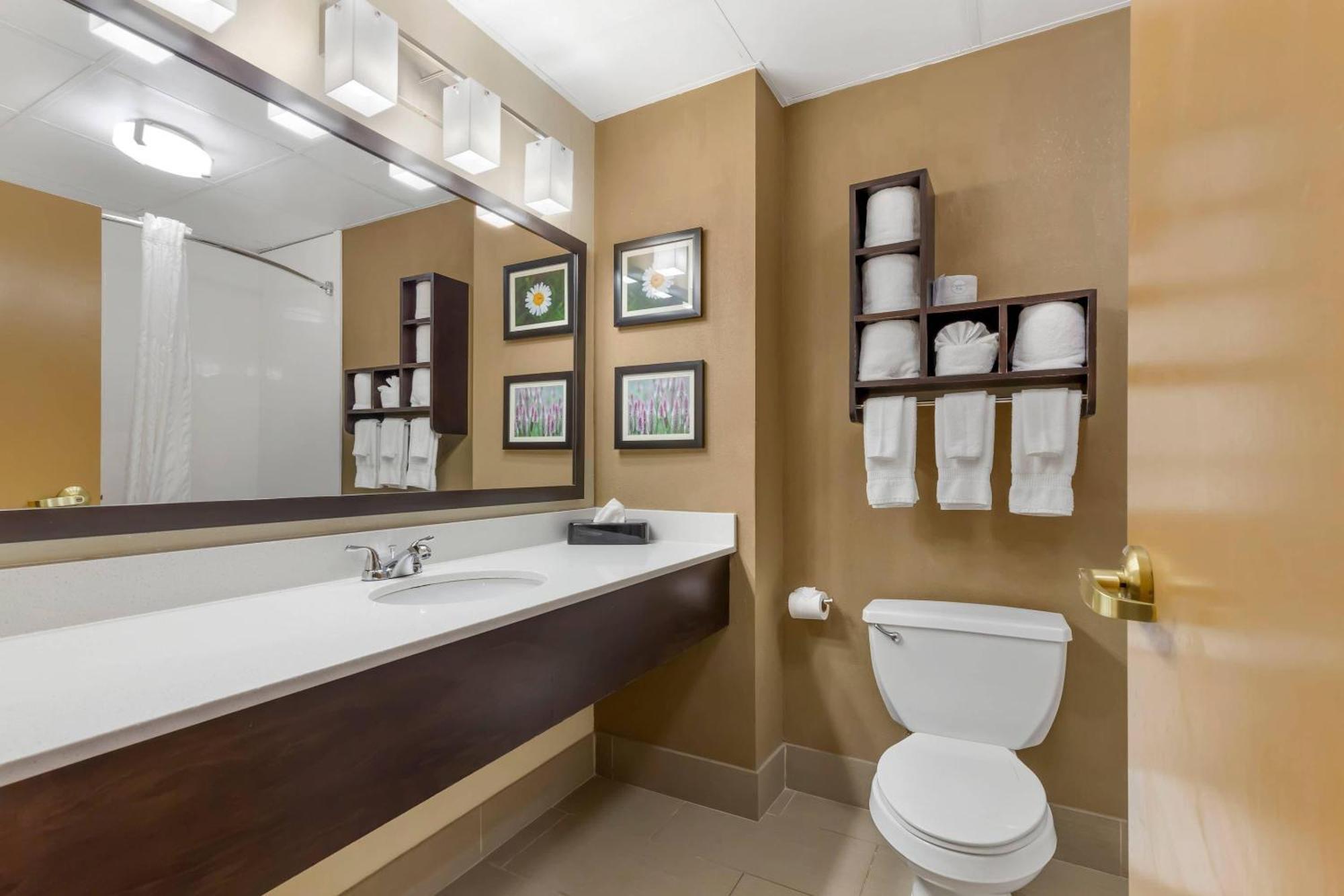 Executive King Suite - Non-Smoking