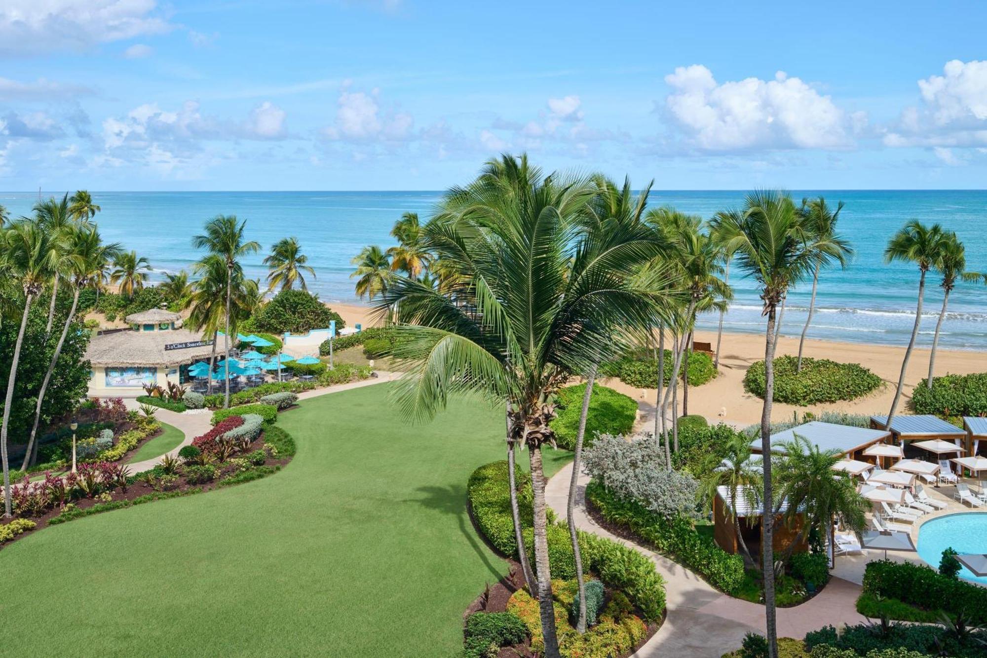 Suite with Ocean View