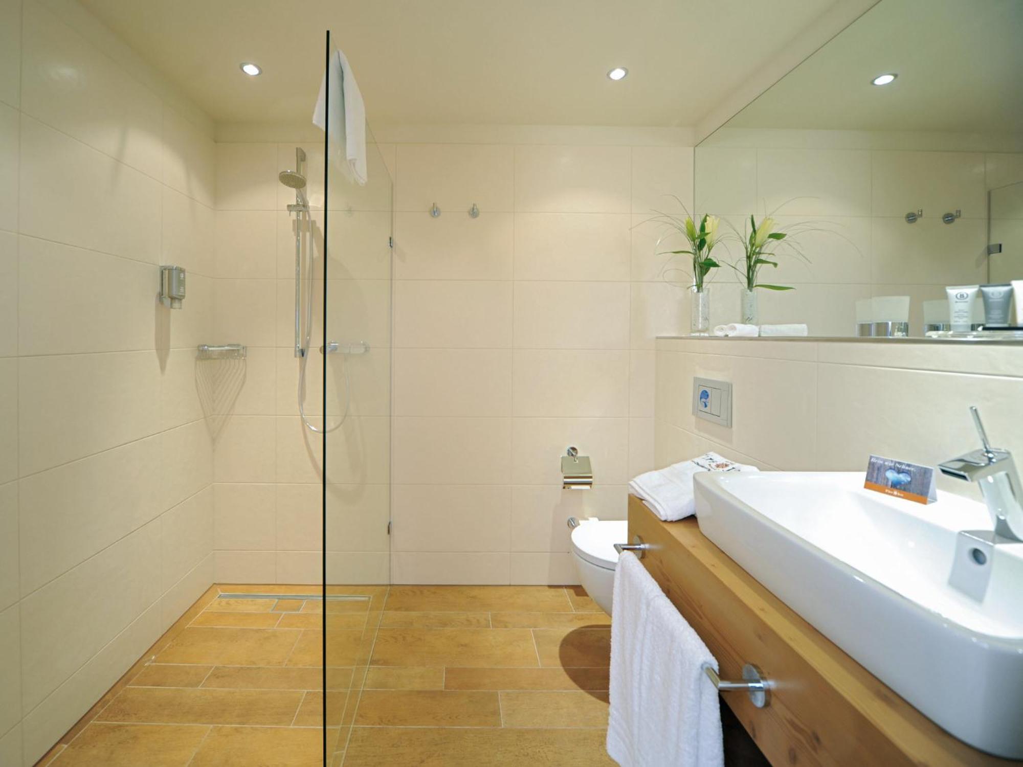 Premium Double or Twin Room