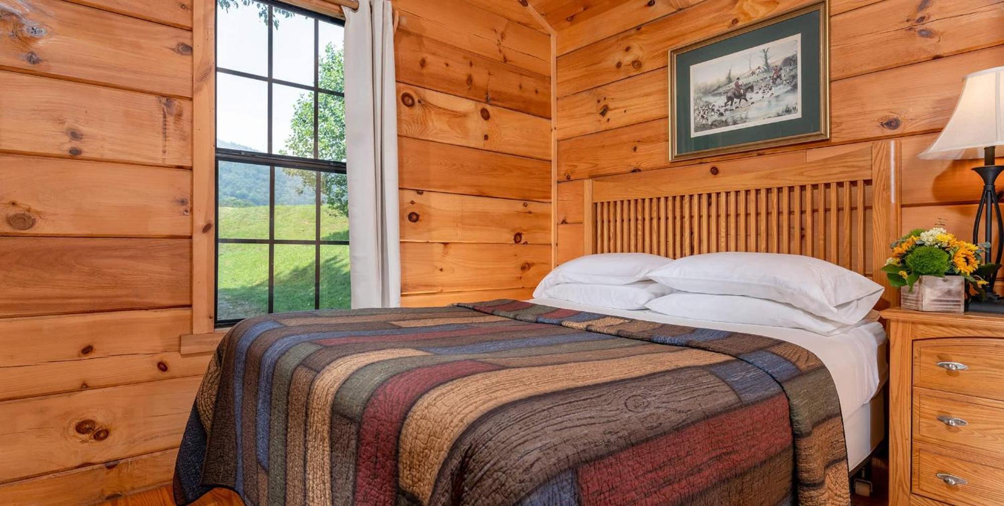 Blue Ridge Mountains Cabin Family Friendly Pet Friendly Not