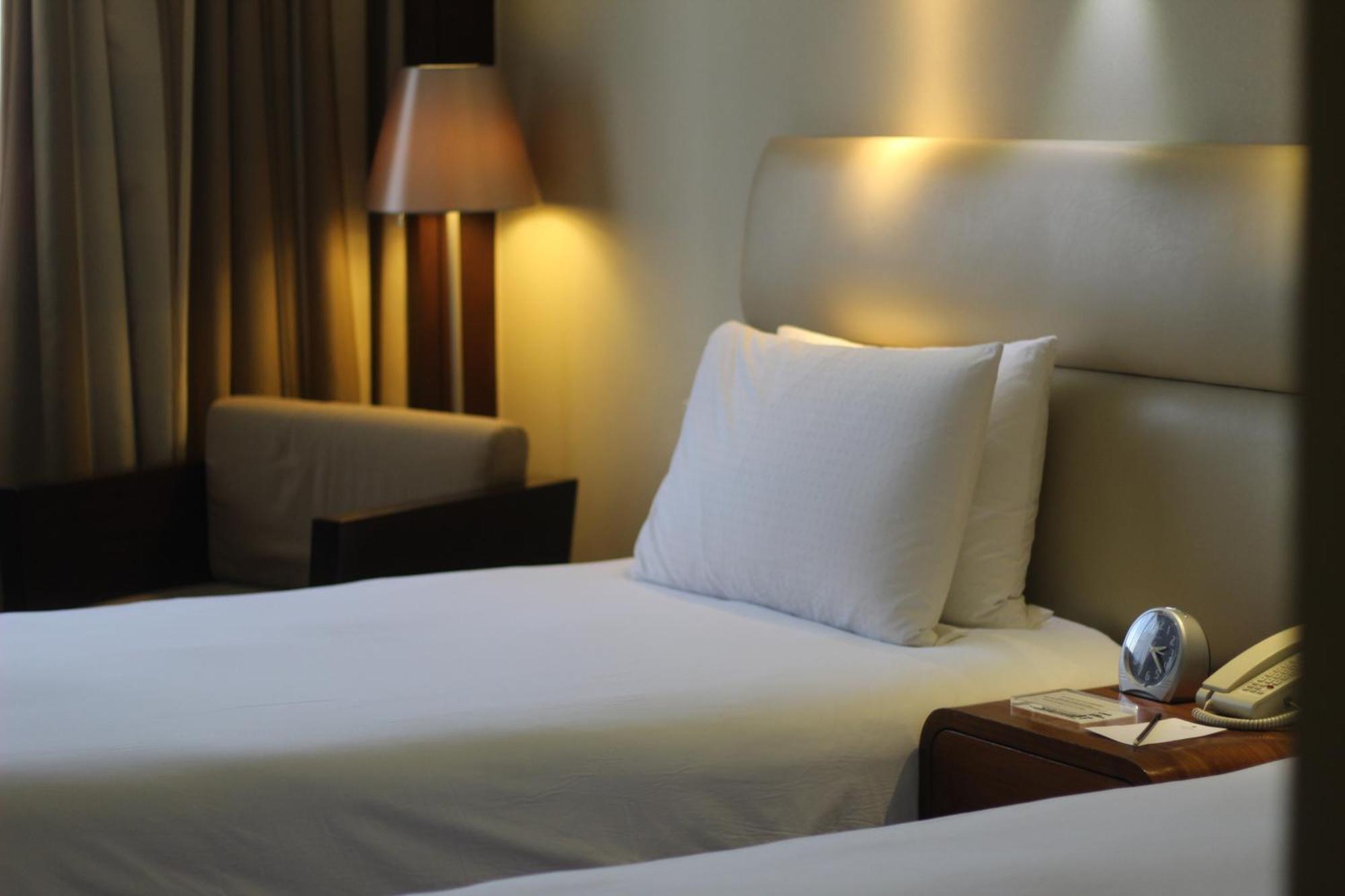 Deluxe Double or Twin Room Mountain View