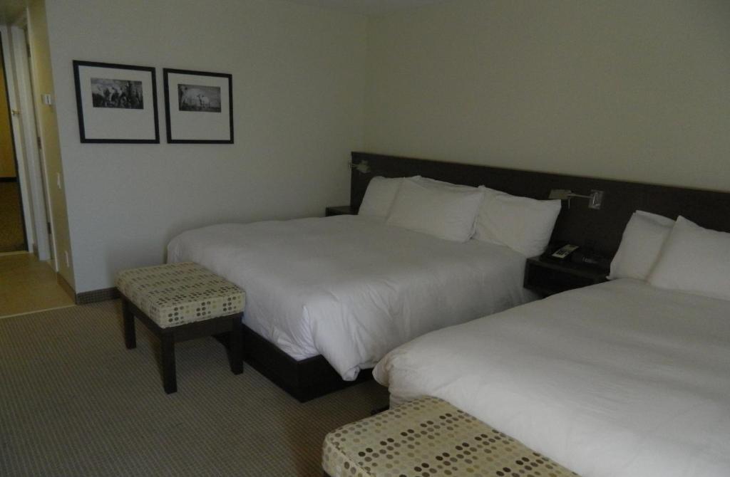 Chambre Double Confort