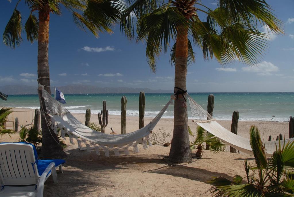 Habitación Clásica - Primera línea de playa