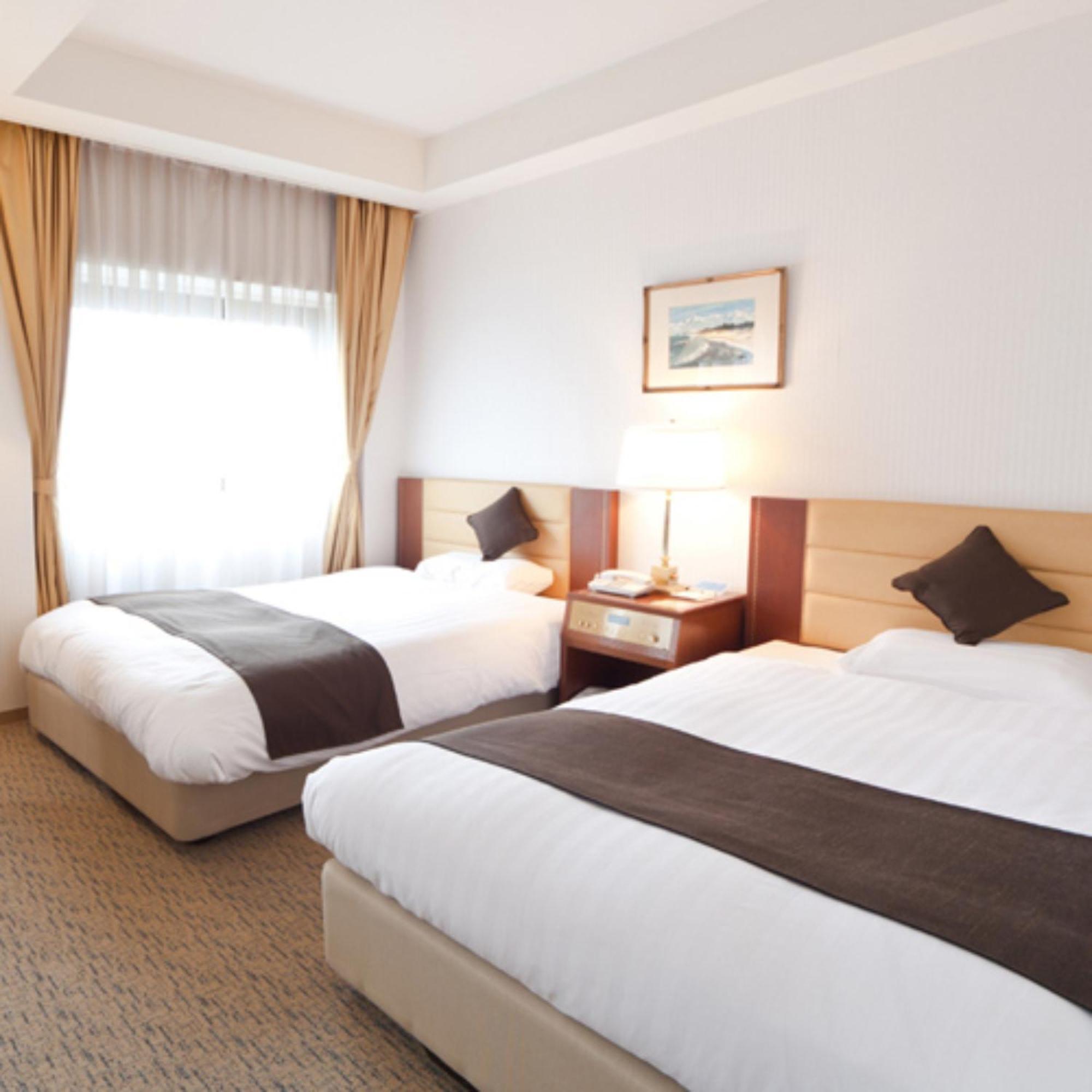 Deluxe Twin Room - Non-Smoking