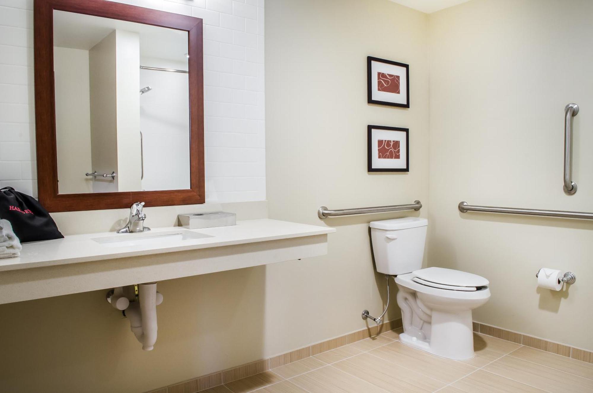 King Suite - Accessible/Non-Smoking