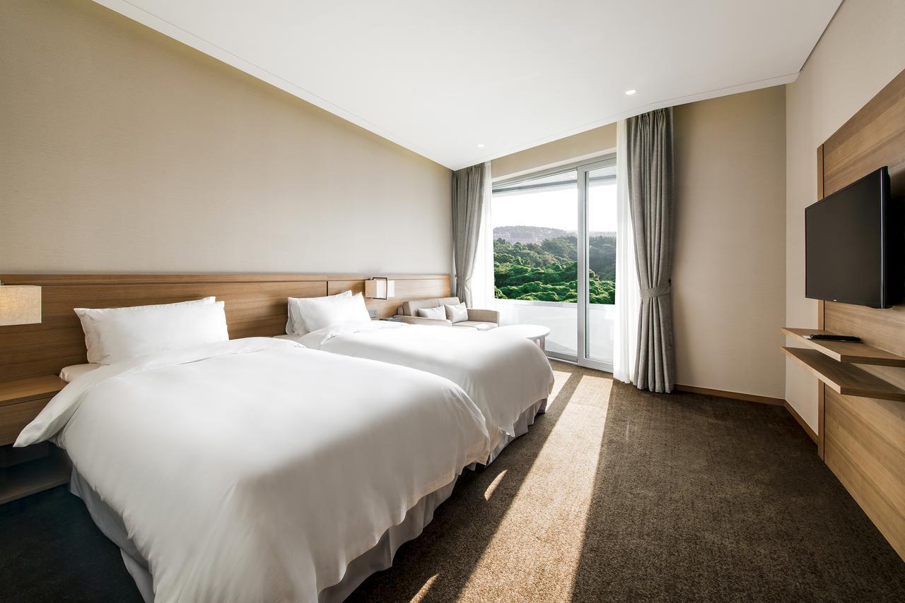 Deluxe Twin Room with Panorama View