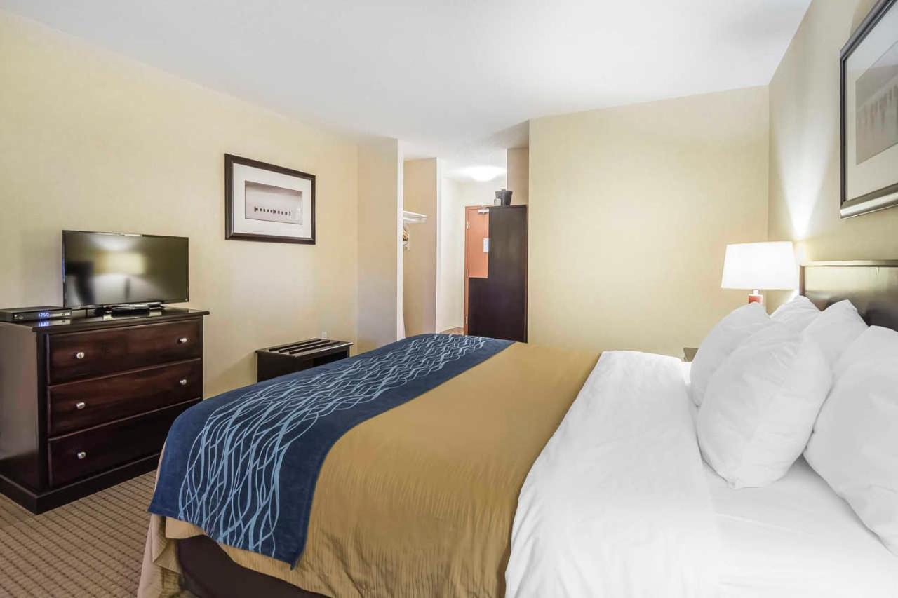 King Room - Non-Smoking