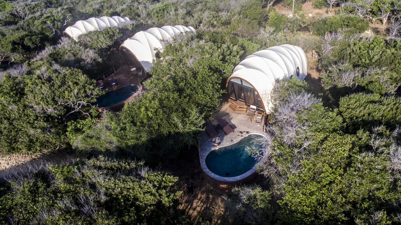 Cocoon Pool Suite One Game Drive,643979160:JPEG