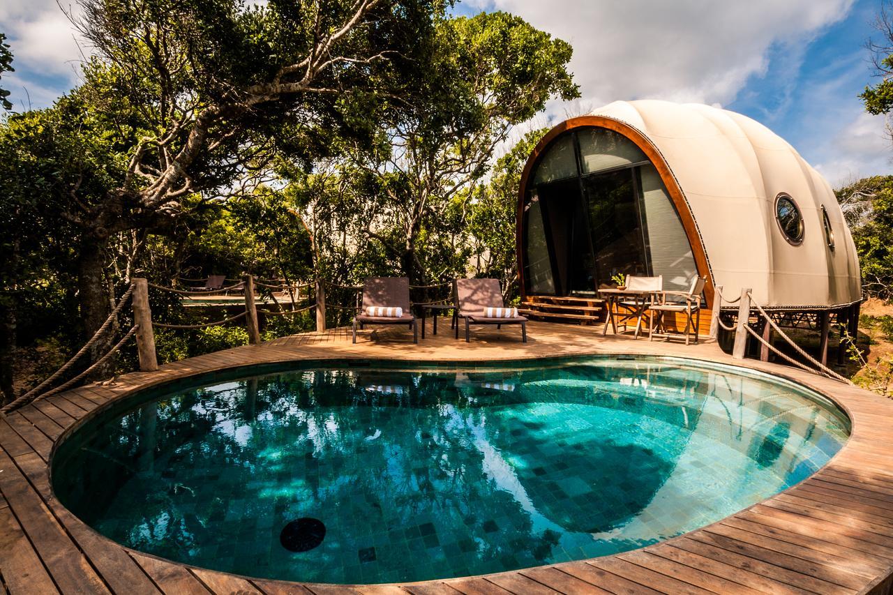 Cocoon Pool Suite One Game Drive,596695020:JPEG