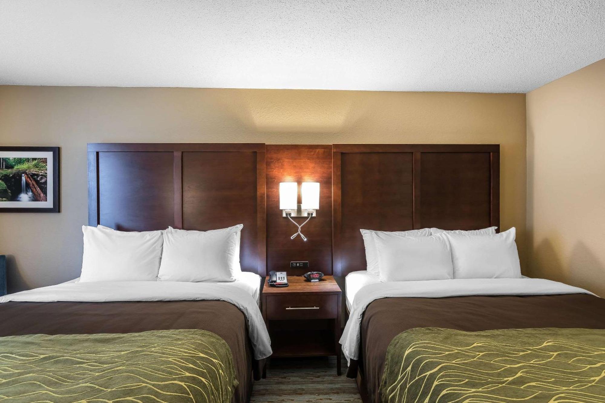 Queen Room 2 Queen Beds River View Non-Smoking