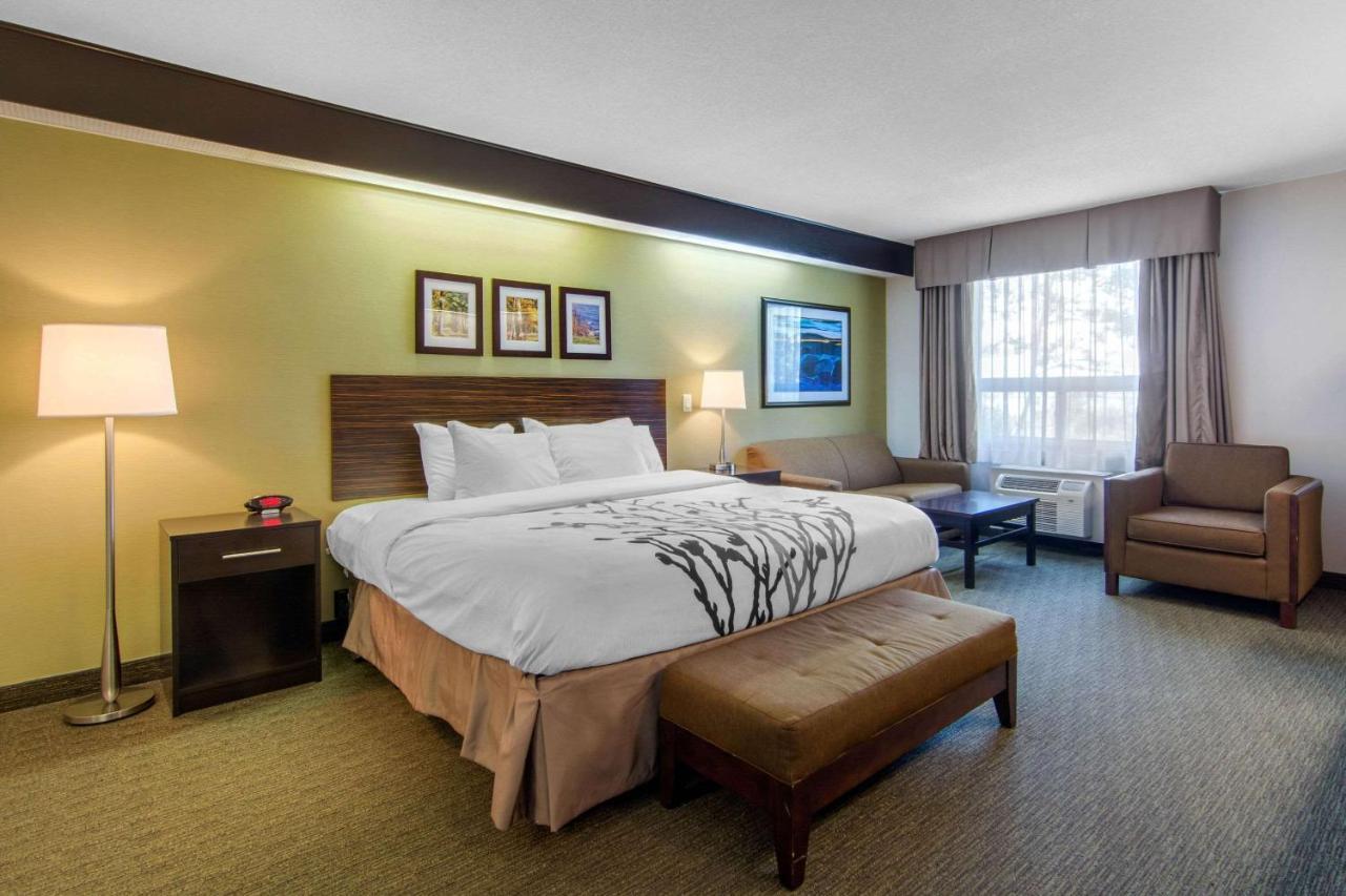 Superior King Room with Sofabed - Non Smoking