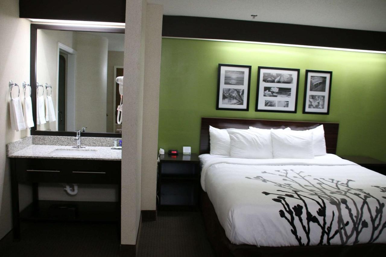 Queen Room - Accessible/Non-Smoking