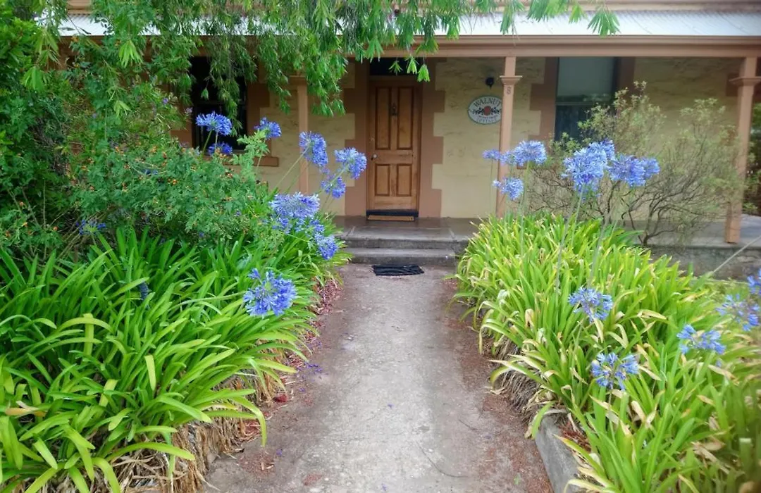 Walnut Cottage-1