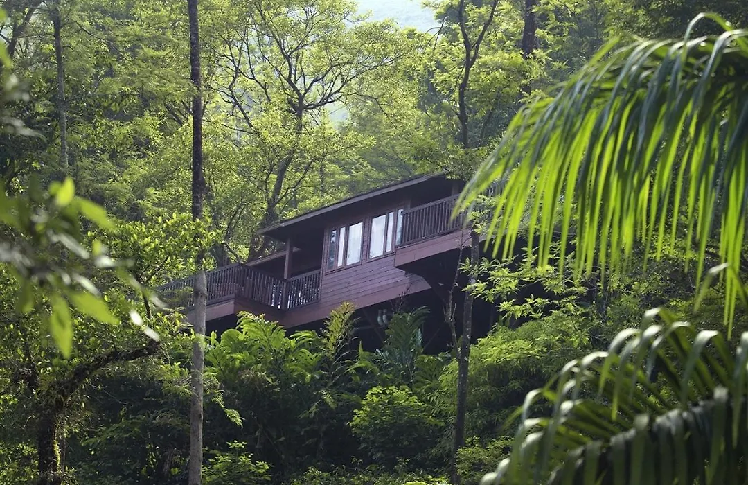 The Tamara Coorg-1