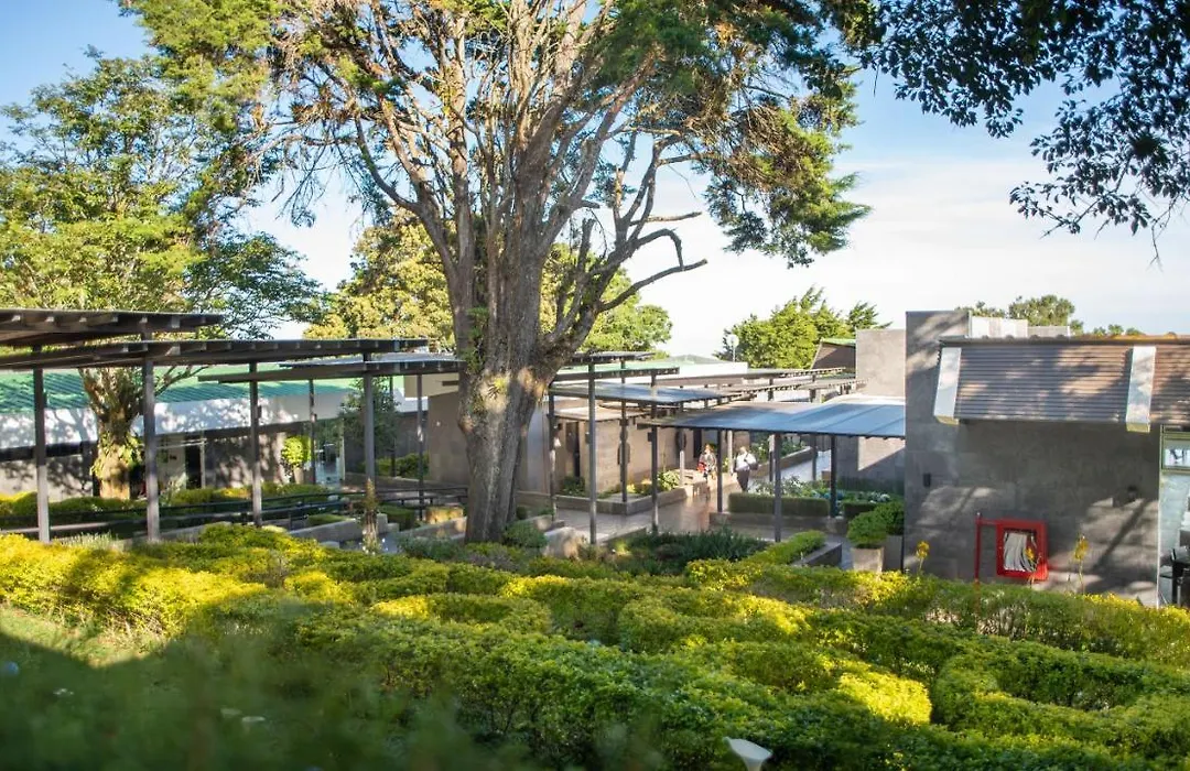 Casa 1800 Cerro Verde-1