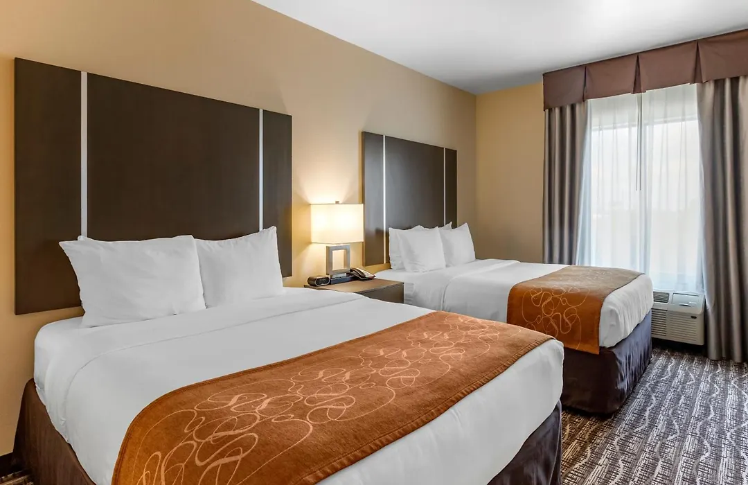 Comfort Suites Near Sam Houston Race Park-1