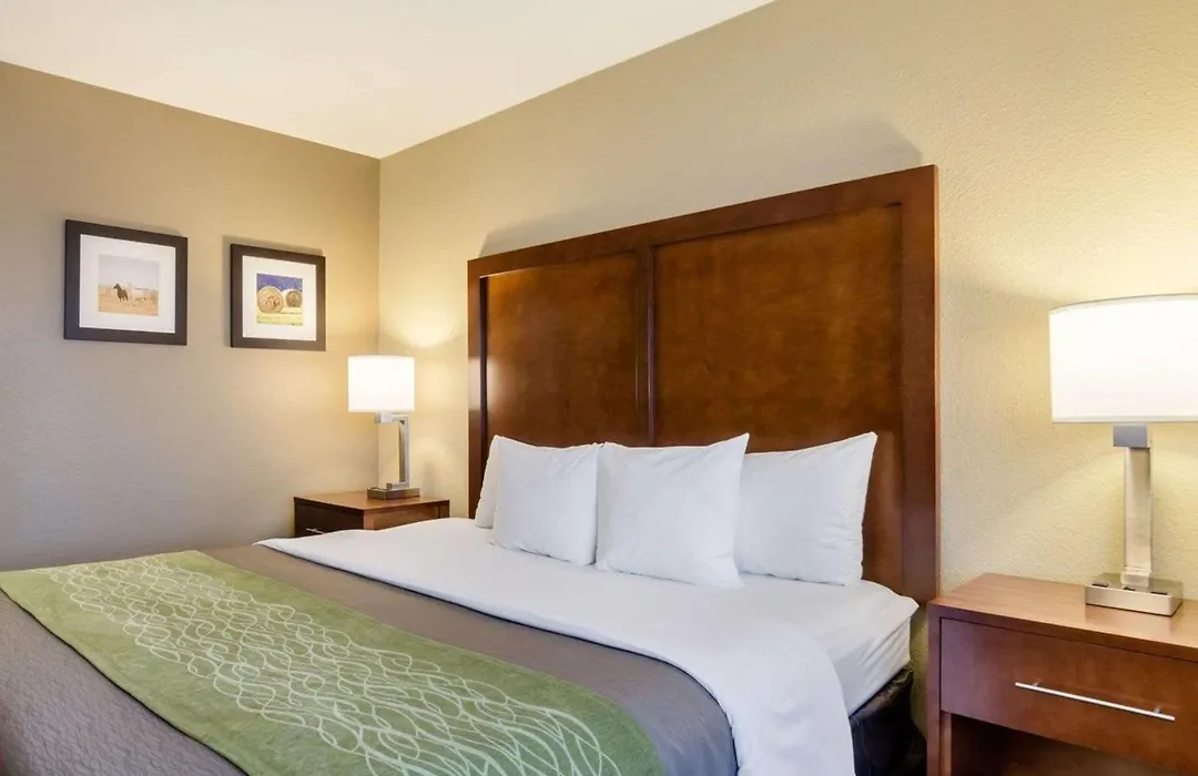 Comfort Inn Garden City-1