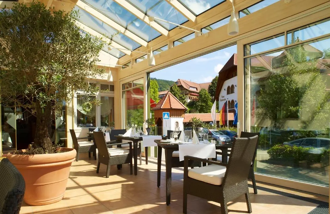 Wellnesshotel Ludinmuehle-1
