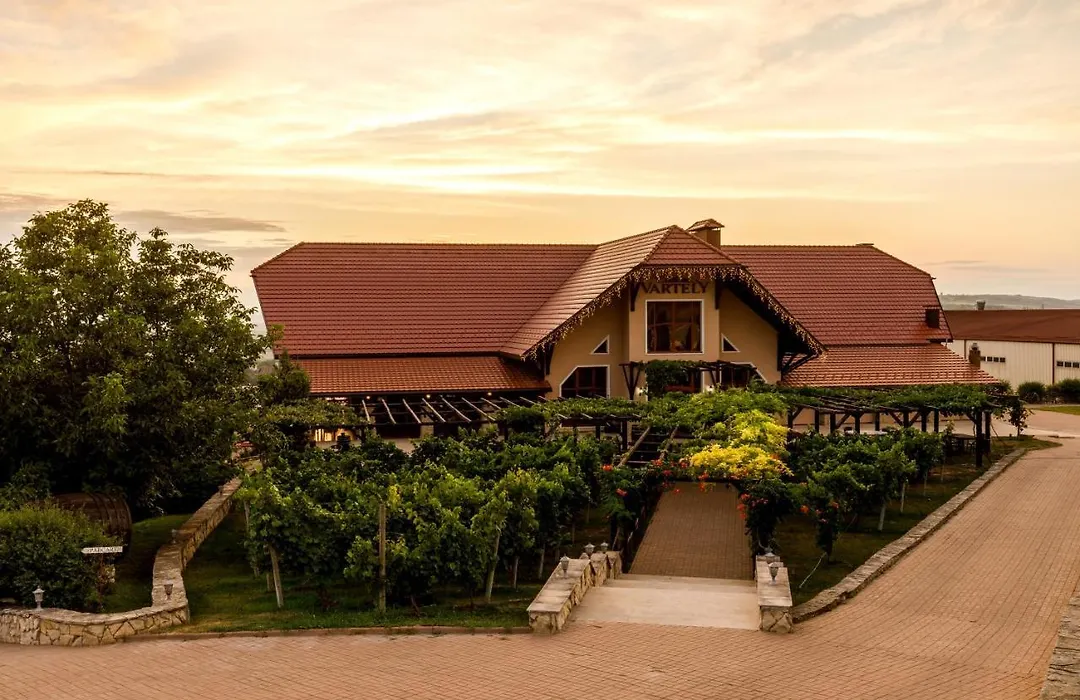 Chateau Vartely-1