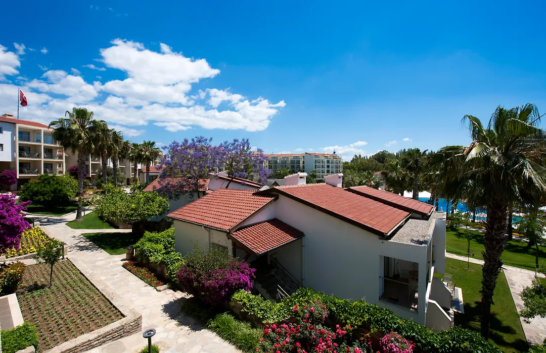 Arum Barut Collection-1
