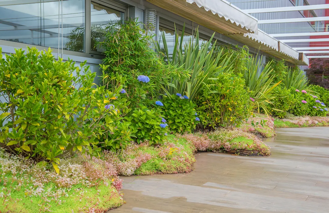 Hotel Spa Norat Torre Do Deza 4* Superior-1