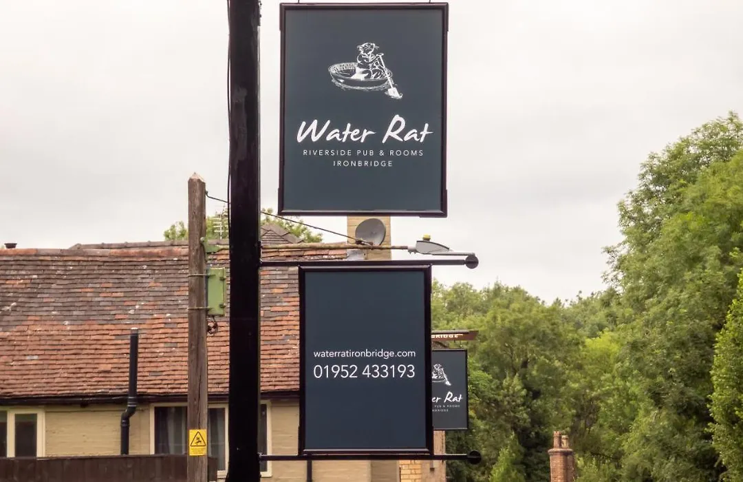 The Water Rat-1