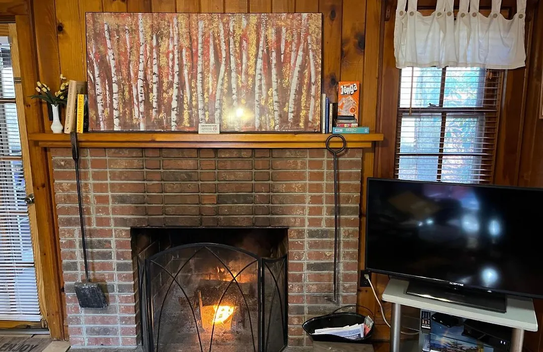 Cozy Cabin Pet Friendly Ada Compatible-1