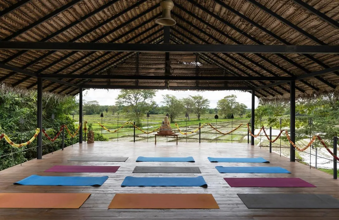 Ayurvie Sigiriya - Ayurvedic Retreat By Thema Collection-1