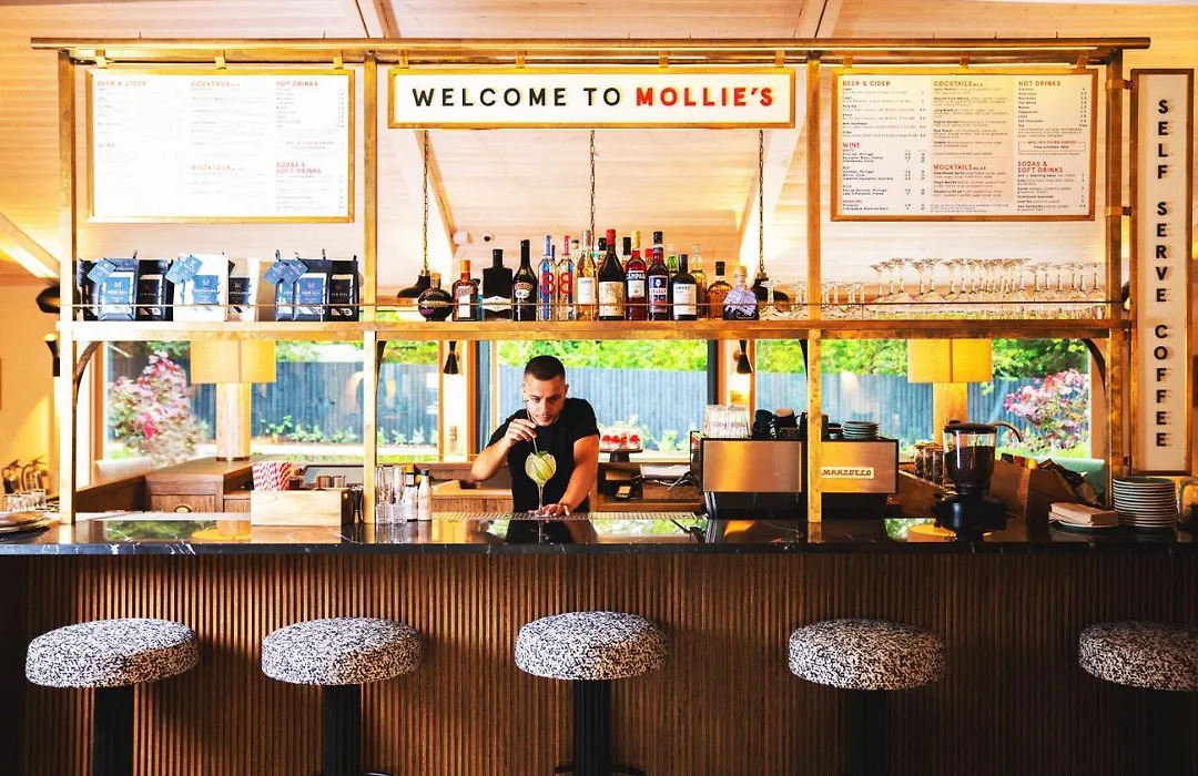 Mollie'S Bristol-1