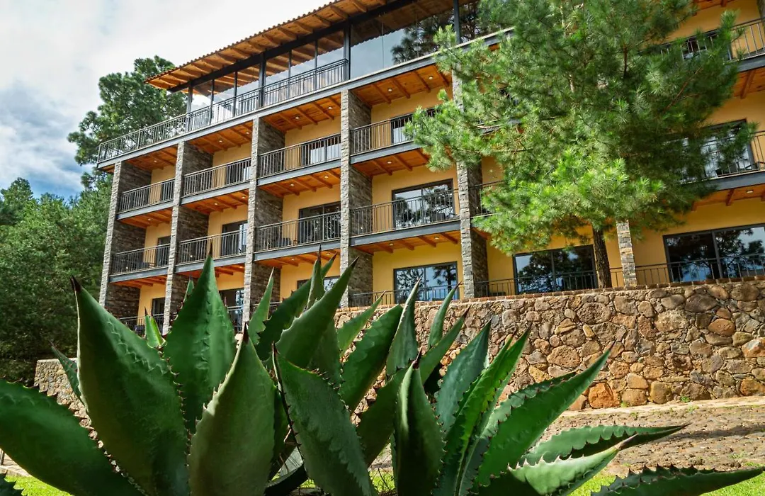 Bosque Escondido-1