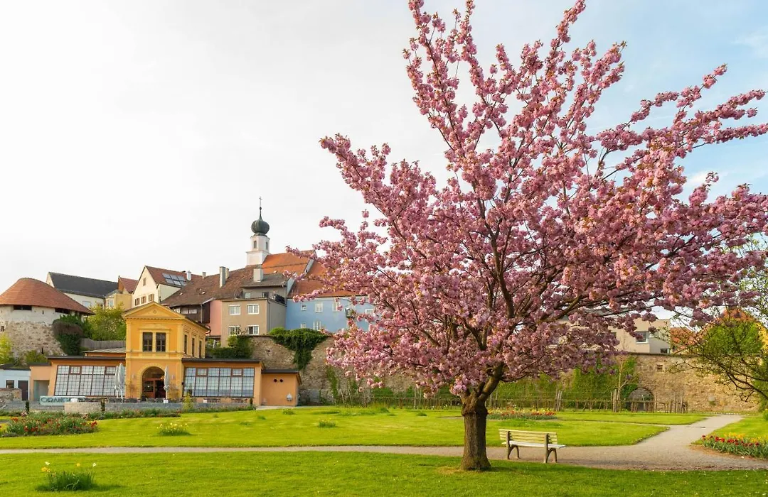 Hotel Forstinger - Boutique Hotel Schärding-1