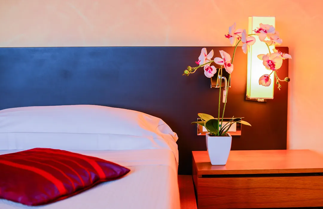 Ahg Donna Silvia Wellness Hotel-1
