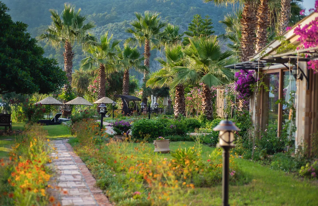Dalyan Resort - Special Category-1