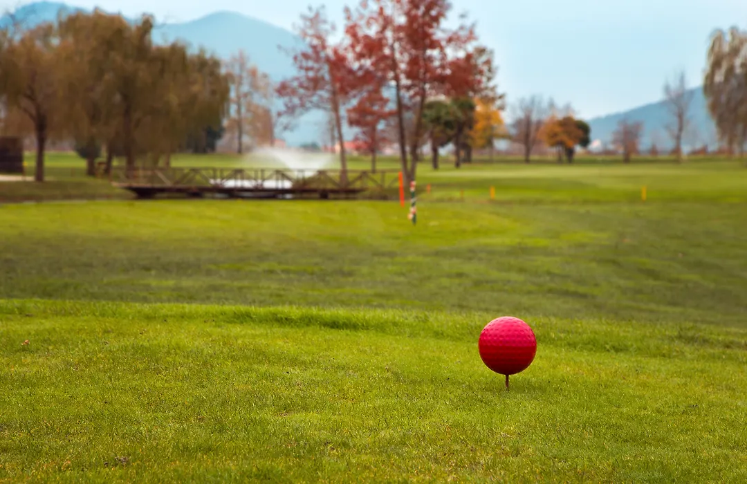Galzignano Resort Terme&Golf - Hotel Majestic-1