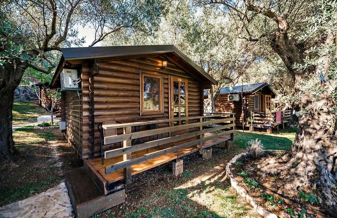 Holiday Park Olive Tree-1