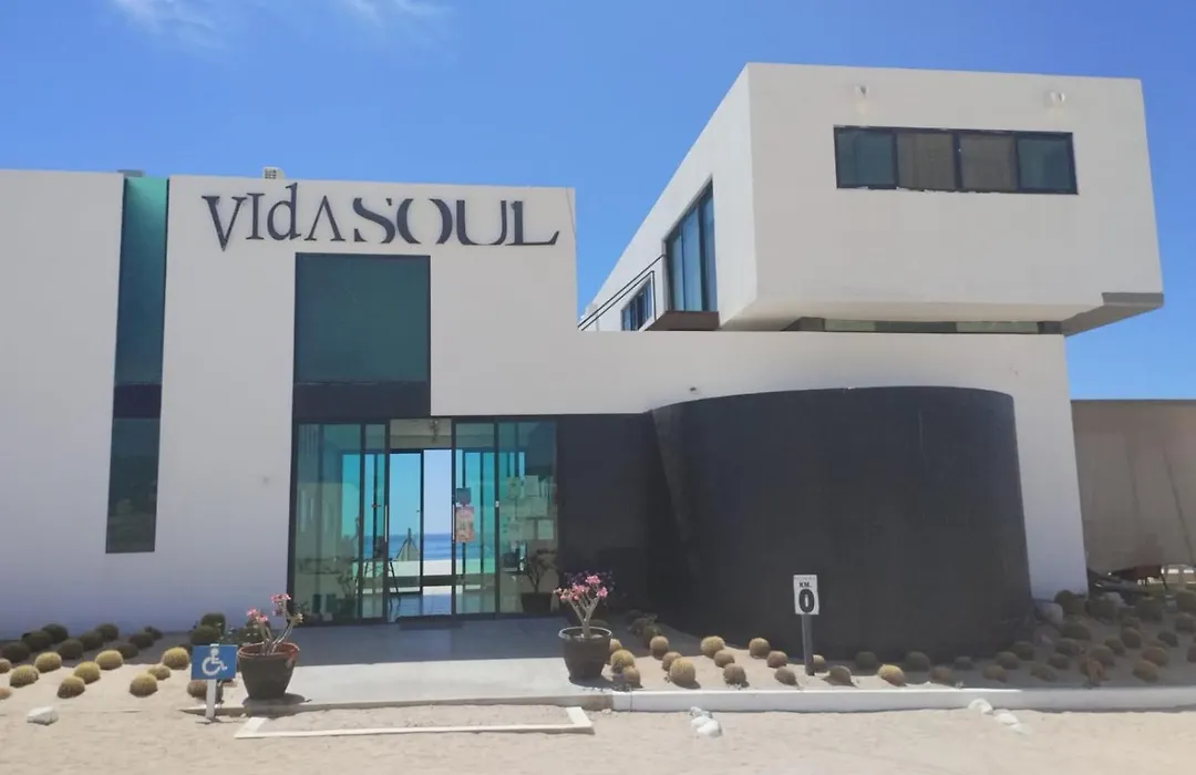 Vidasoul-1