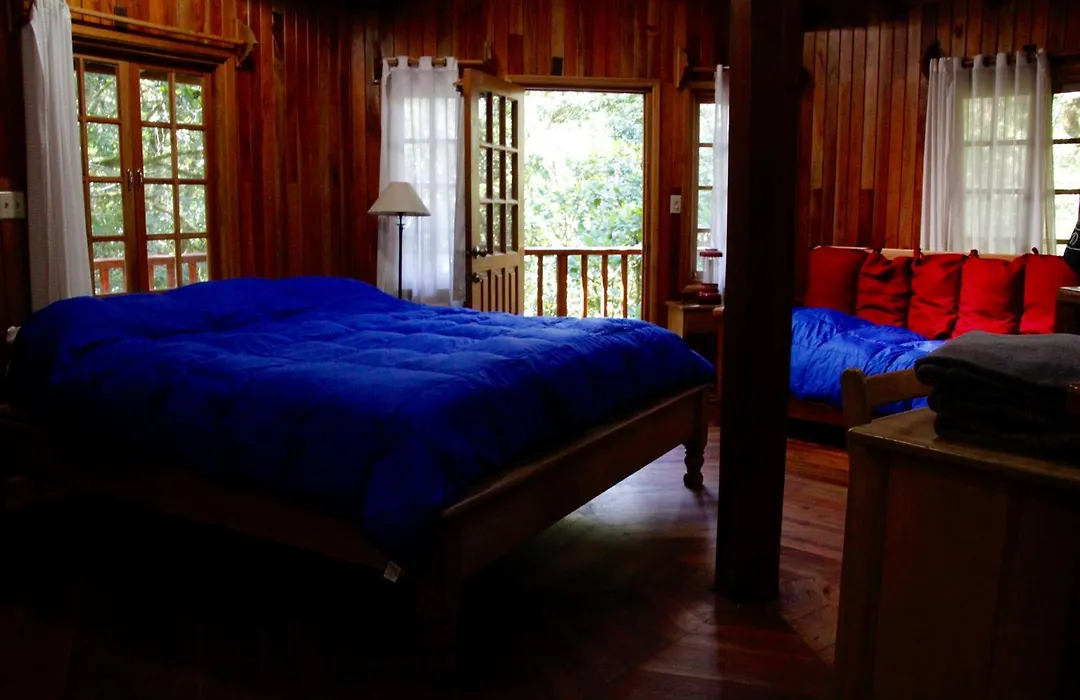 Los Quetzales Ecolodge & Spa-1