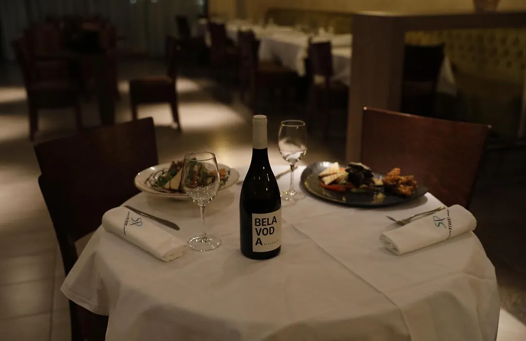 Hotel Stara Planina-1