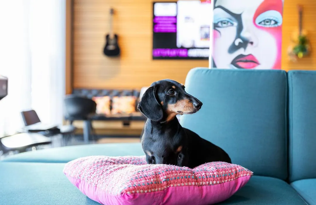 Moxy Aberdeen Airport-1