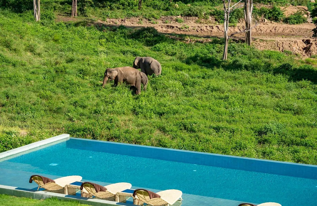 Wild Cottages Elephant Sanctuary Resort-1