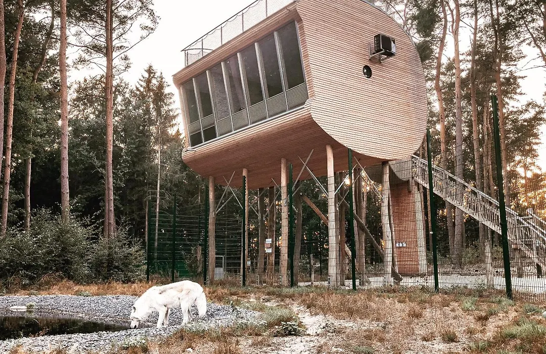 Tree Inn - Das Baumhaushotel-1