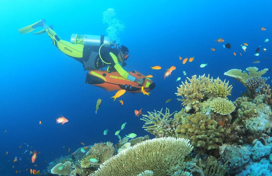 You & Me Maldives - Adults Only - Premium All-Inclusive-1